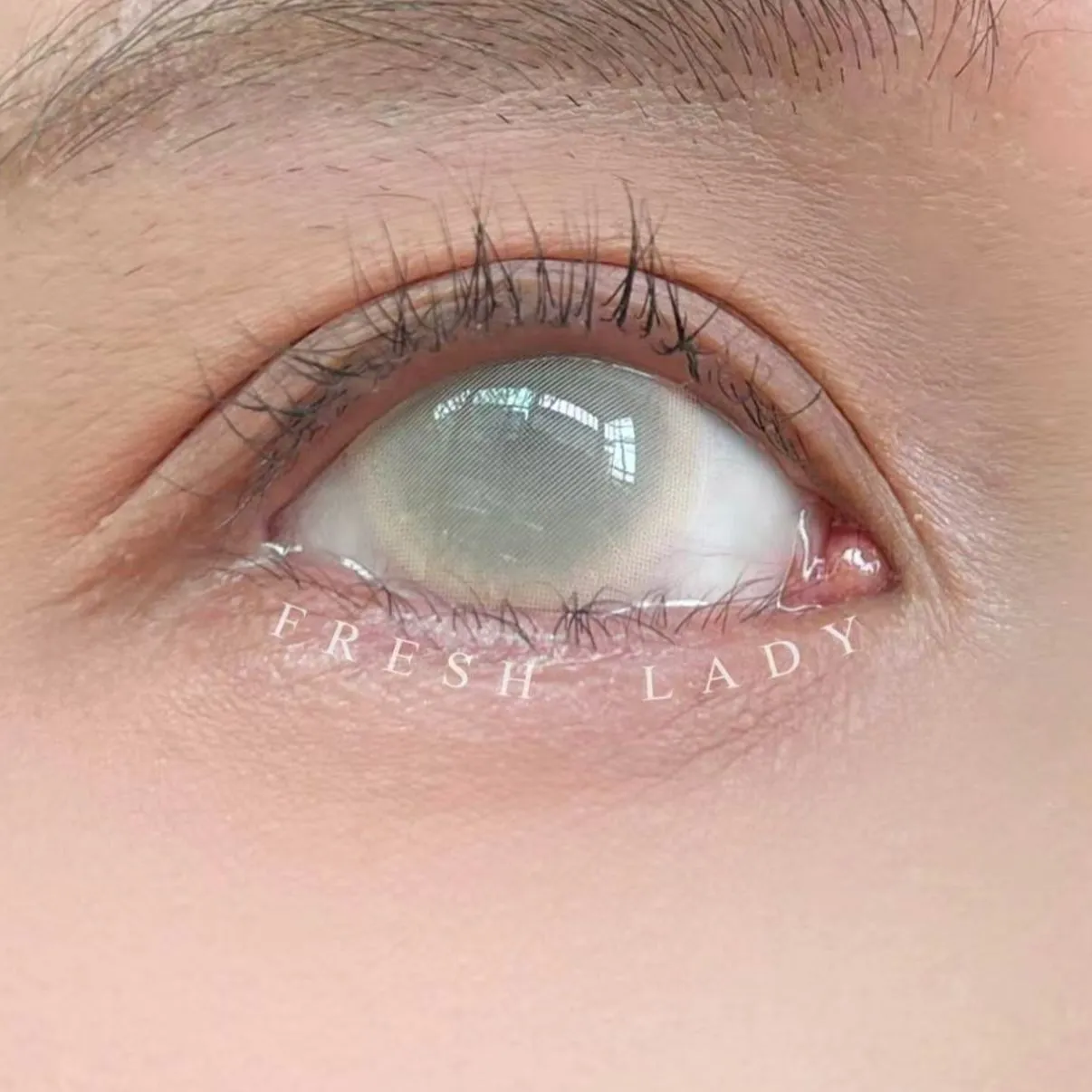 EYEZA Sheer White | 1 Year