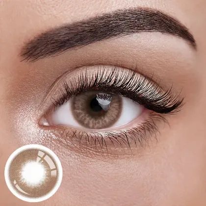 EyeLensy Marsala Brown | 1 Year